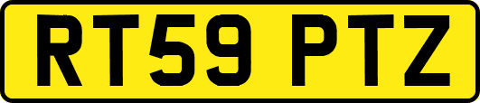 RT59PTZ