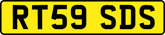 RT59SDS