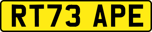 RT73APE