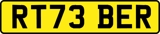RT73BER