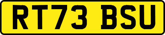 RT73BSU
