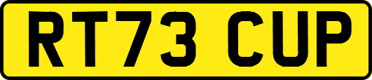 RT73CUP
