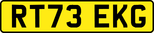 RT73EKG