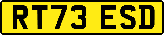 RT73ESD