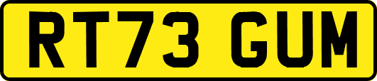 RT73GUM