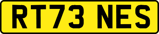 RT73NES
