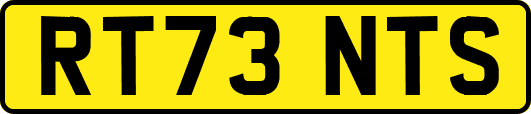 RT73NTS