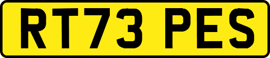 RT73PES