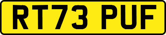 RT73PUF