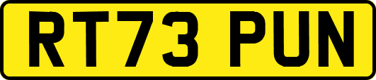 RT73PUN