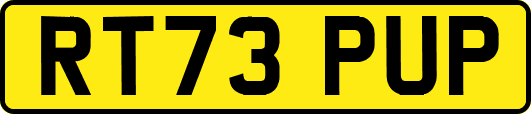 RT73PUP