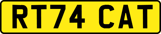 RT74CAT