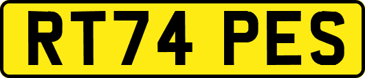 RT74PES
