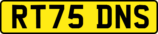 RT75DNS