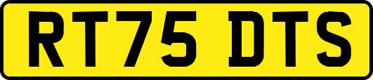 RT75DTS
