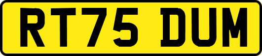 RT75DUM
