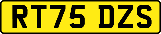 RT75DZS