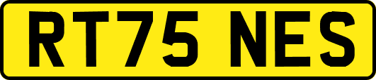 RT75NES