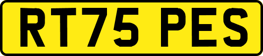 RT75PES