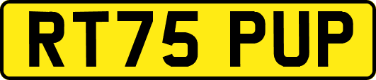 RT75PUP