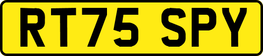 RT75SPY