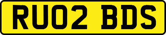 RU02BDS