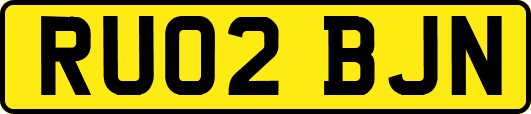 RU02BJN