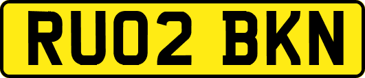 RU02BKN