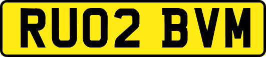 RU02BVM