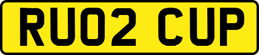 RU02CUP