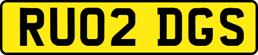 RU02DGS