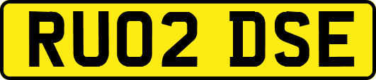 RU02DSE