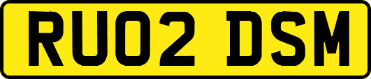 RU02DSM