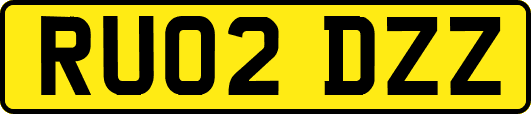 RU02DZZ