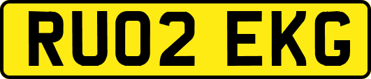 RU02EKG
