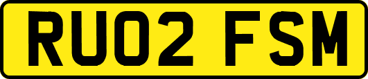 RU02FSM