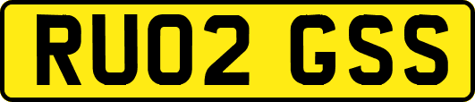 RU02GSS