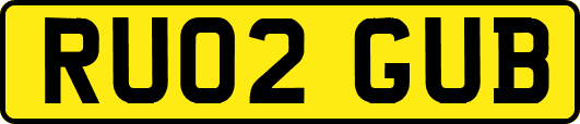 RU02GUB