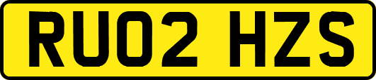 RU02HZS