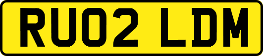 RU02LDM