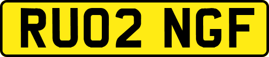 RU02NGF