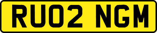 RU02NGM
