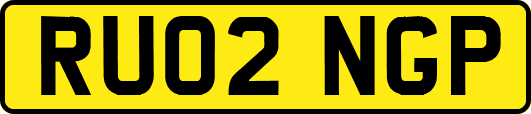 RU02NGP