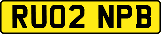 RU02NPB