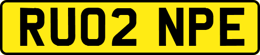 RU02NPE
