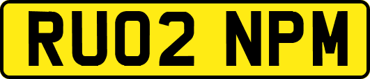 RU02NPM
