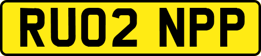 RU02NPP