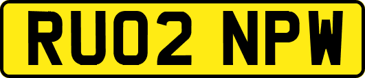 RU02NPW