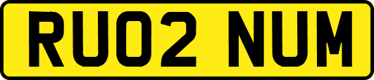 RU02NUM