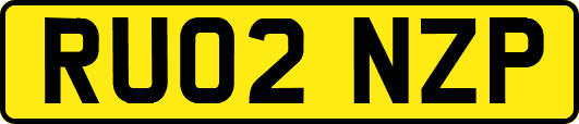 RU02NZP